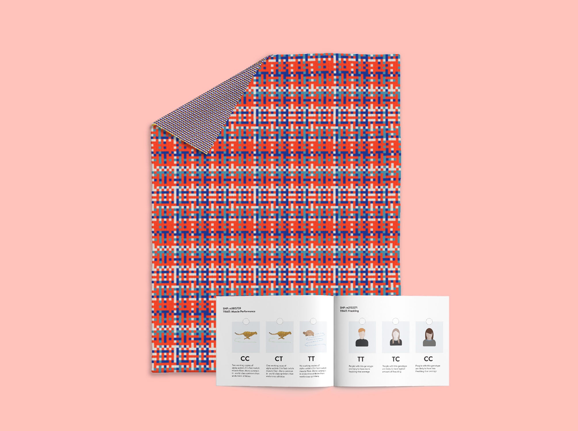 The illustrated booklet is a simple and fun way to learn about DNA sequencing. It also comes with a key so you can decode the information visualized in your personalized design.
